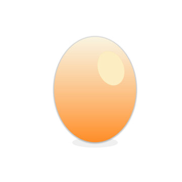 Fresh Chicken Egg Vector Icon Isolated on Gray Background
Minimal Egg Illustration with Gradient and Shadow