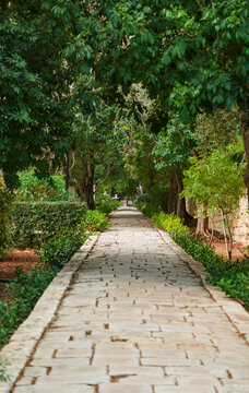 Tree-lined stone pathway in San Anton Gardens, Malta