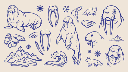 Walrus arctic ocean pattern, northern marine sketch, minimal animal illustration, clean wildlife art, modern nature design, isolated walrus vector, premium ocean background, organic design print walru © Geetaroy