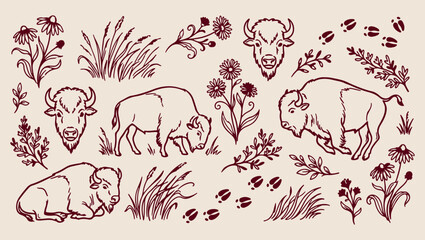 Buffalo meadow nature pattern, wild bison sketch, minimal animal illustration, clean wildlife art, modern nature design, isolated bison vector, premium field background, organic design print buffalo,  © Geetaroy