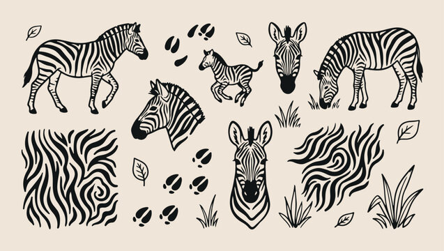 Wild zebra savanna animal wildlife pattern, minimal vector illustration, line art design, monoline style, clean modern graphics, isolated on background, premium decorative element
fresh, print, tropic
