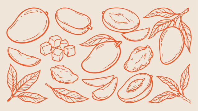 Fresh mango fruit exotic food pattern, minimal vector illustration, line art design, monoline style, clean modern graphics, isolated on background, premium decorative element
fresh, print, tropical, f