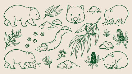 Obraz premium Australian native animal pattern, wildlife bush sketch, minimal nature illustration, clean animal art, modern fauna design, isolated wildlife vector, premium bush background, organic design print aust