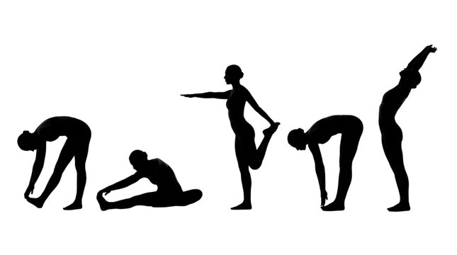 Flexibility and Stretching Silhouette Set with People Practicing Yoga Poses and Warmup Exercises
