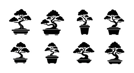 Obraz premium Bonsai Trees in Small Pots.