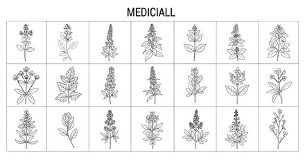 A collection of various medicinal plant illustrations. © Malikmagak