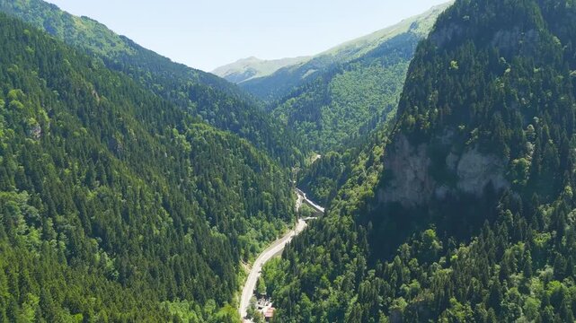Altindere, Trabzon Province, Turkey. Altindere Valley National Park, winding mountain road through dense coniferous forest, aerial drone view at midday. Aerial View