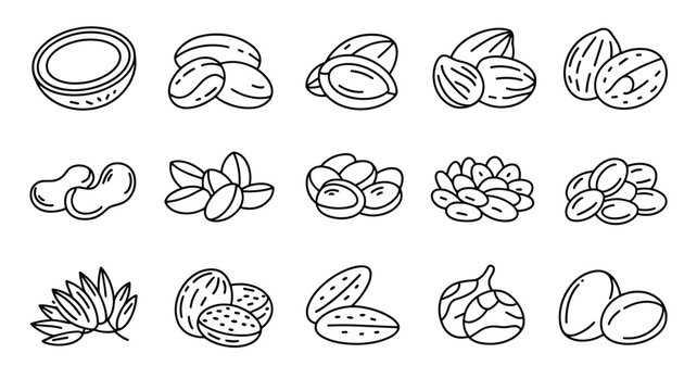 Set of minimalist line art icons representing various types of nuts and seeds like coconut, almonds, walnuts, and peanuts.