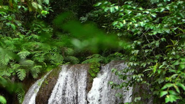 Close-up scene of a rushing forest waterfall and mossy rocks in Laos PDR
