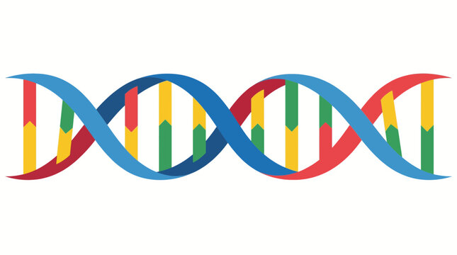 Human DNA Double Helix Molecular Structure