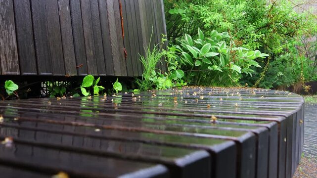 The park bench is wet from the rain.공원의 벤치에 비가 내려 젖어있습니다.