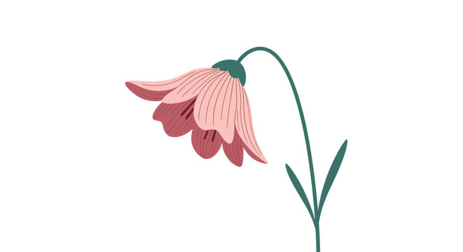 Beautiful illustration of a single drooping pink flower with delicate petals and green leaves on a thin stem on white background.