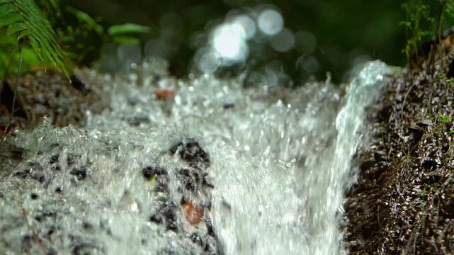 Close-up scene of a rushing forest waterfall and mossy rocks in Laos PDR