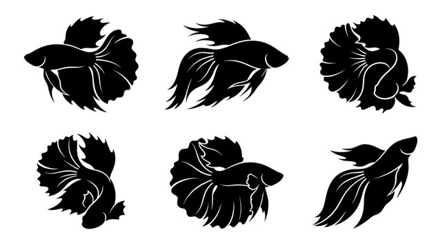 Six different black betta fish silhouettes on a clean white background, minimalist vector style.
