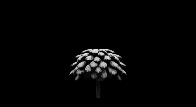 Minimalist white abstract tree icon on solid black background