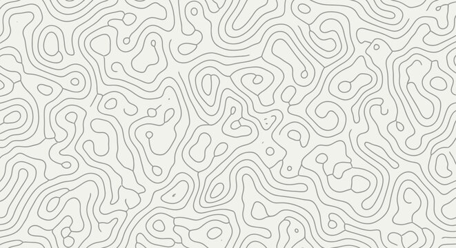 Abstract Topographic Contour Map Pattern - Blank Blueprint Background