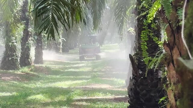 Palm Trees Plantation Tractor 2