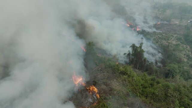 Aerial drone view of a remote tropical forest area with patches of smoke from burning agriculture, rugged mountainous landscape, preparing land for new rice crops, Laos PDR