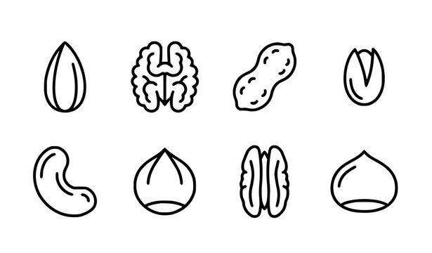 Edible Nut Outline Icons Vector Illustration Set for Nutrition Concepts