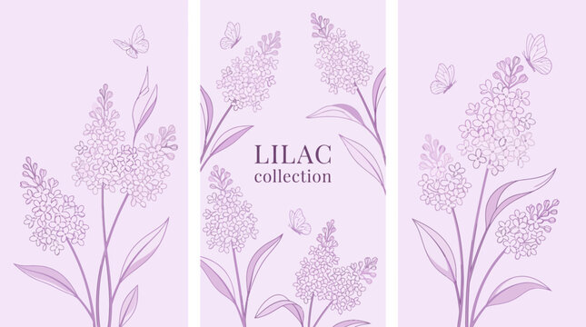 Lilac collection: three-panel botanical illustration featuring lilac blossoms in soft pastel purple, a floral triptych for spring decor and feminine branding