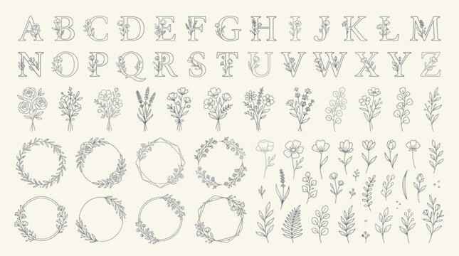 Vintage ornamental alphabet with floral botanical illustrations and decorative wreaths in gray, hand-drawn typography set