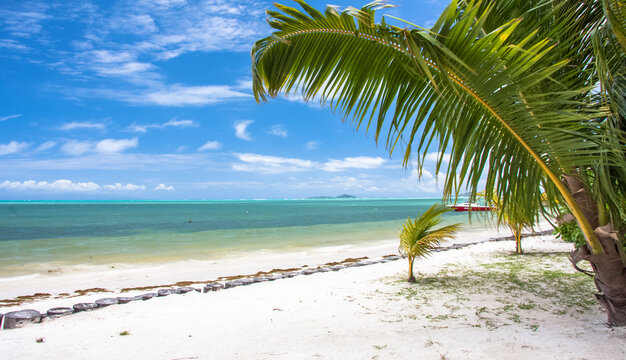 Plage paradisiaque des Seychelles 