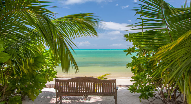 Fauteuil sur plage de Praslin, Seychelles 