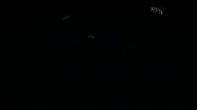 "vertical white Lightning Arc Flowing: High-Voltage Electrical Current VFX Overlay Isolated on Black Background"