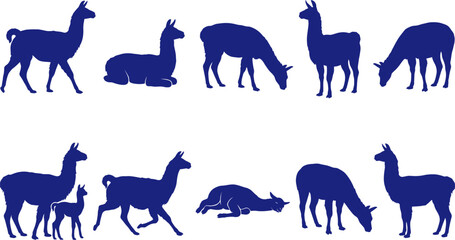 Obraz premium vector can editable Andean camelid silhouettes illustrating the grace of llamas and alpacas