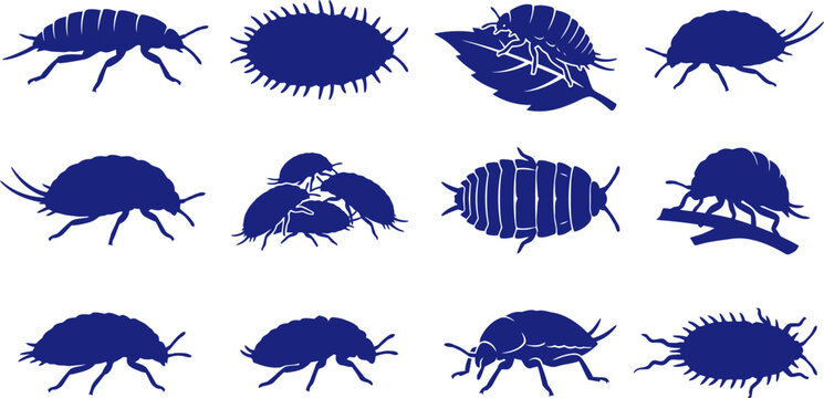 vector can editable Agricultural pest silhouettes featuring mealybugs and scale insects