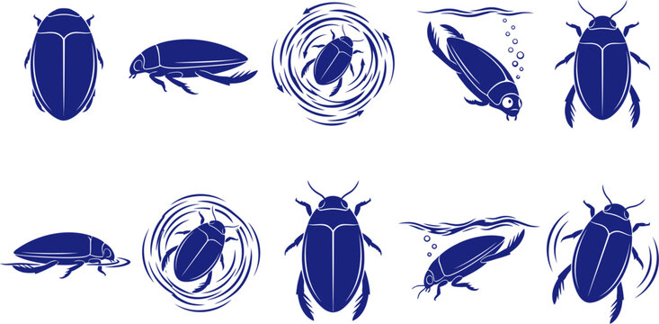 vector can editable Aquatic dytiscidae silhouette display illustrating the diving beetle in motion