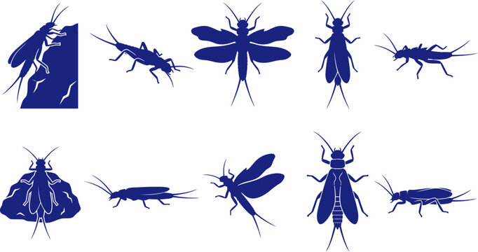 vector can editable Delicate plecoptera silhouettes showcasing the slender profiles of aquatic stoneflies