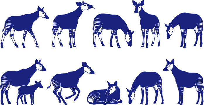 vector can editable Distinguished okapi silhouettes highlighting the rare beauty and striped patterns of the forest giraffe
