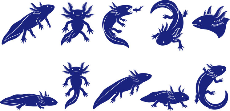 vector can editable Ethereal axolotl silhouettes illustrating the unique aquatic anatomy of the mexican salamander