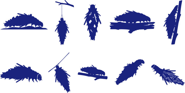 vector can editable The curious architecture of the bagworm moth larva silhouette study