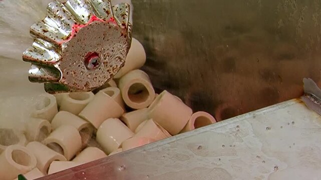 The heart of a hydro air filter system operates vigorously. A captivating impeller stirs numerous ceramic media, driving a constant, cleansing current to purify ambient air.