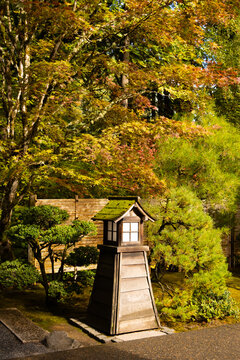 Japanese garden lantern standing among autumn foliage in Portland