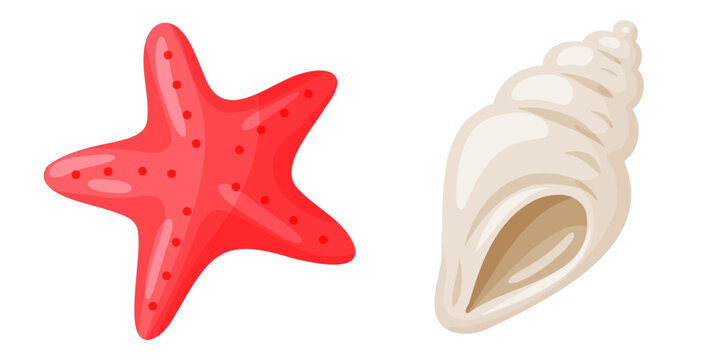 Red Starfish and White Spiral Seashell Set Clipart