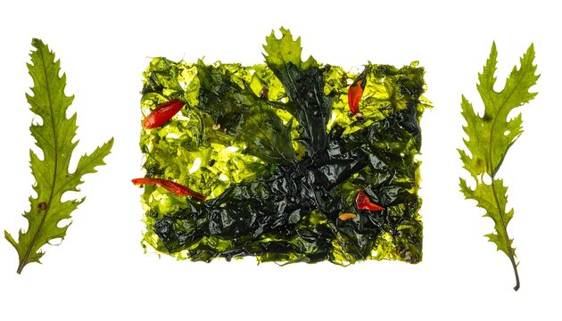Composition showcases three leafy greens two vibrant, textured leaves flank a textured, rectangular arrangement of similar green matter with small red specks