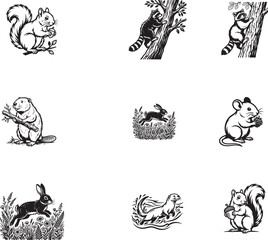 Obraz premium Wildlife icons, forest animal illustrations, black and white vector set, 8 animal drawings