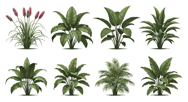 Collection of different types of green leafy indoor plants and shrubs displayed in a grid for botanical decoration.