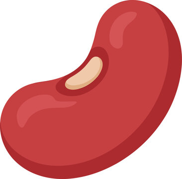 Red kidney bean vector illustration, raw legume seed, healthy food icon Editable Vector