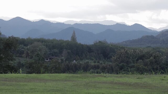 A beautiful morning view of a vast green lawn leading to a dense tropical forest and majestic mountain range. Serene nature landscape.
