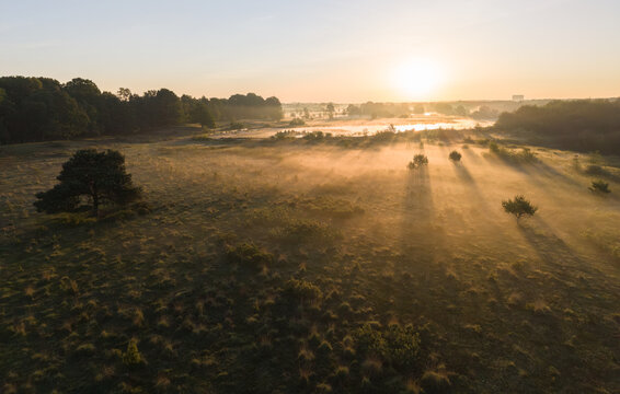 Diepenbeek, Belgium. Aerial drone sunrise over misty wetland with sun rays and scattered trees