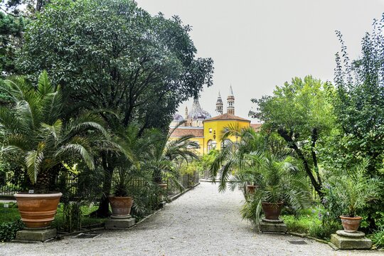 Unesco world site Orto Botanico di Padova, oldest botanical garden, Padua, Italy
