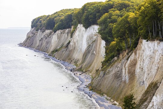 Tourists on the beach below the chalk cliffs, Jasmund National Park, R&uuml;gen Island, Baltic Sea, Mecklenburg-Western Pomerania, East Germany