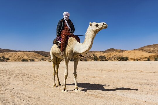 Tuareg riding on his arabian camel, near Tamanrasset, Algeria