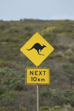 Road sign warning of Kangaroo's on the Great Ocean road, Victoria, Australia