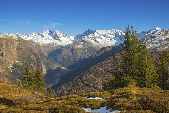 Autumnal mountain landscape at Padauner Kogl, behind the Olperer, Fu&szlig;stein, Schrammacher and Hohe Wand, Padauner Kogl, Gries am Brenner, Tyrol, Austria