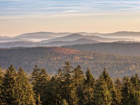 View from the summit of the Haidel over hilly landscape, endless forests in the morning light in autumn, inversion weather, fog in the lowlands, Lower Bavaria, Bavarian Forest, Bavaria, Germany